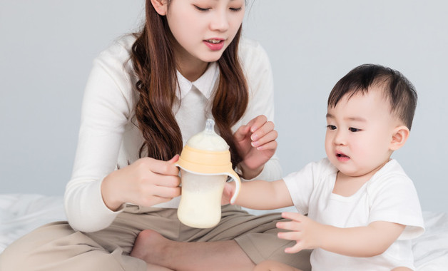 早产儿奶粉排行榜10强